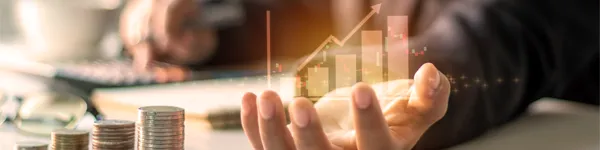 Cost-Efficiency through Outsourcing Solution